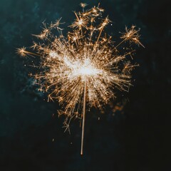 Sparkling 2024 New Year s Eve Firework  Festive Celebration  Bright Lights  Golden Sparkle