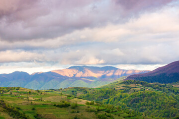 mountain landscape in spring. highlands of ukraine. countryside scenery with rolling hills. sky with clouds in evening light. carpathian alps