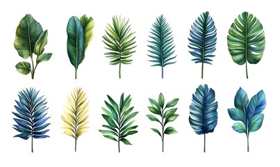 Fototapeta premium Tropical Leaf Collection: A Watercolor Study of Lush Greenery