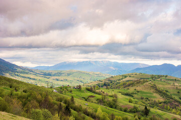 Fototapeta premium mountain landscape in spring. wonderful distant ridge. countryside scenery with rolling hills. sky with clouds in evening light. amazing springtime