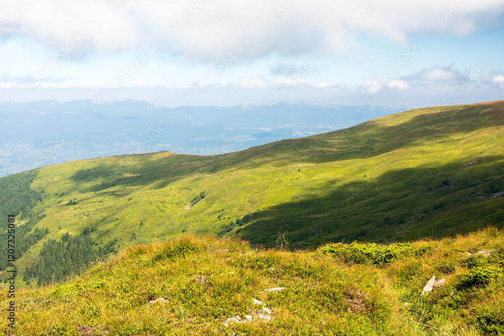 Poster carpathian mountain landscape in summer. travel destination of ukraine. beautiful view with rolling hills. alpine scenery of chornohora ridge. weather change on high altitude