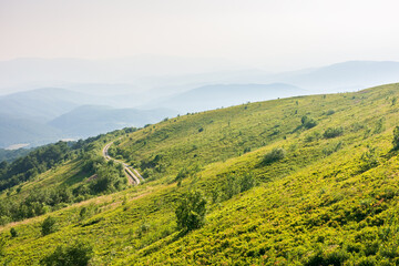 beautiful view of mountain landscape in summer. outdoor adventure. green hill rolling in to the distance in evening light. natural environment of carpathian alps