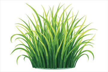 Grass Vector Clipart Collection