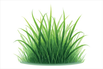 Grass Vector Clipart Collection