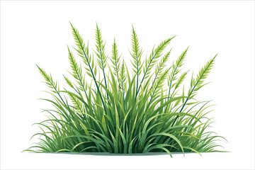 Grass Vector Clipart Collection