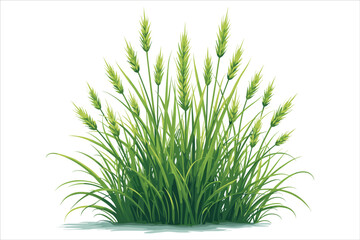 Grass Vector Clipart Collection