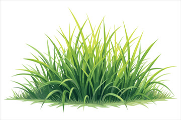 Grass Vector Clipart Collection