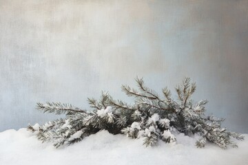 Snow-covered pine branch rests on a snowy surface against a textured background, evoking a winter scene.