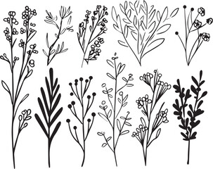 A set of plant silhouettes for flat design. Hand drawn vector illustration