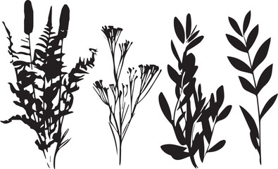 A set of plant silhouettes for flat design. Hand drawn vector illustration