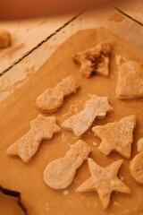 children bake gingerbread cookies at home