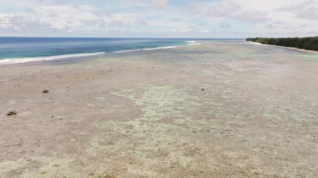 Aerial tilt up as white frigate bird soars above crystal clear shimmering shallow waters at Aroa Beach, South Pacific, Rarotonga Cook Islands
