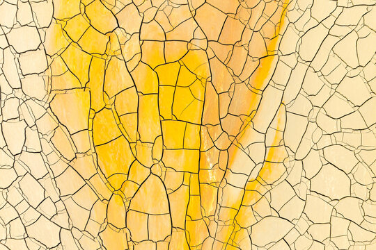 Intricate golden mud cracks forming abstract pattern