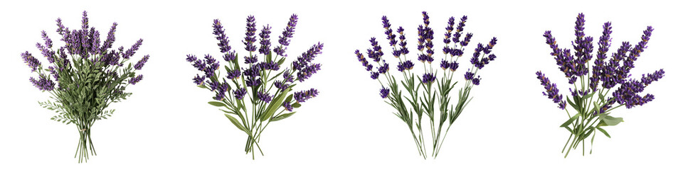 Fototapeta premium Lush Bunches of Vibrant Purple Lavender Flowers Arranged in a Beautiful Rustic Floral Bouquet in a Natural Garden or Countryside Setting