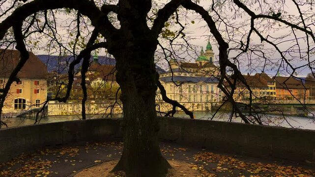 Beautiful Baroque Old Town with House and a Bridge over River Aare and St. Ursus Cathedral with a Tree with Branch and Mountain Weissenstein in Autumn Day in Solothurn, Canton Solothurn, Switzerland.