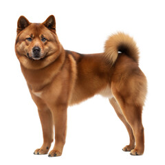 British Timber  dog AI Generated Image