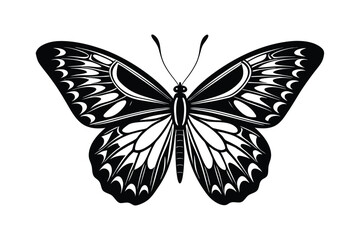 A butterfly silhouette art illustration.eps
