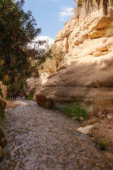 Wadi Bin Hammad eine steile Schlucht mit flachem warmen Wasser und üppiger Vegetation liegt etwas nördlich von Kerak und gut 2 Fahrstunden enfernt von Amman, Jordanien.