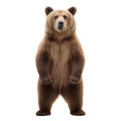 Fototapeta premium Brown Bear AI Generated Image