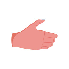 Holding Something Hand Gesture Icon, Vector illustration