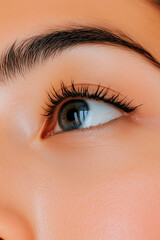 Obraz premium Close-up of Eye with Eyebrow and Eyelashes