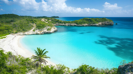 Fototapeta premium Serene Coastal View of Palm Tree and Turquoise Waters in Paradise