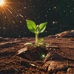 Plant in space, growing on mars, ecology issue, sun in cosmos