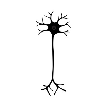 multipolar neuron glyph