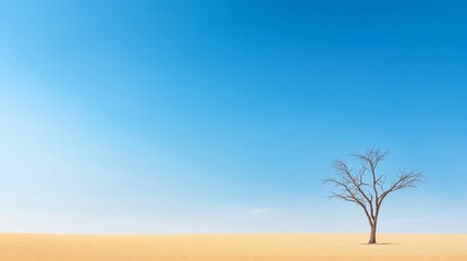 Barren Landscape Featuring a Single Leafless Tree Against a Clear Blue Sky and Sandy Dunes, Evoking Themes of Isolation and Resilience in Nature
