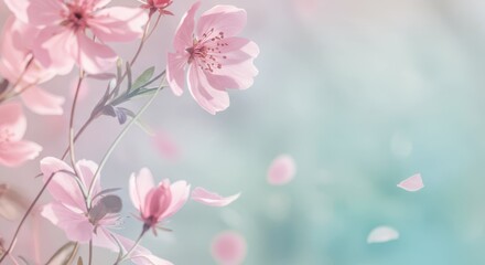 Beautiful cherry blossoms in soft pastel background capturing tranquility and spring serenity