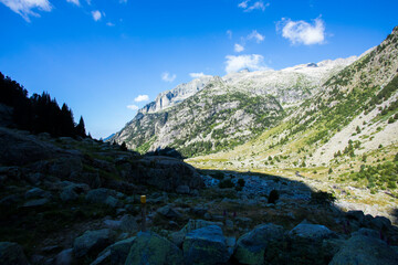 Summer landscape in Vall de Boi in Aiguestortes and Sant Maurici National Park, Spain