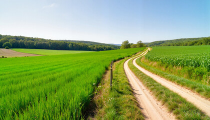 Scenic rural pathway winding through lush green fields, sense of adventure