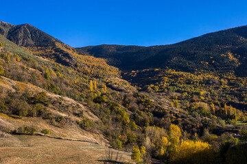 Autumn landscape in Aiguestortes and Sant Maurici National Park, Spain