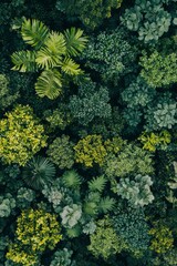 Naklejka premium Lush Green Tropical Foliage Wall Display