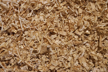 Wood shavings background close up. Wood shavings. Sawdust