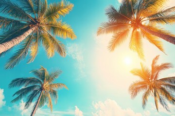 Tropical Palm Trees Sunlit Sky Summer Vacation Paradise