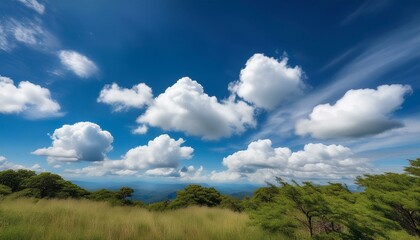 Obraz premium 明るい青空に点在するふわふわした白い雲
