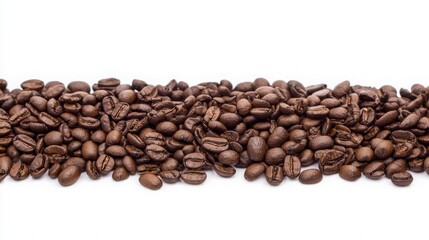 A row of roasted coffee beans on a white background.