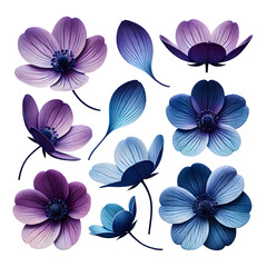 Flower petals isolated on transparent background