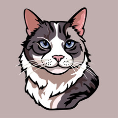 レディッシュグレーのかっこいい猫