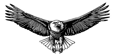 Fototapeta premium bald eagle fly engraving black and white outline