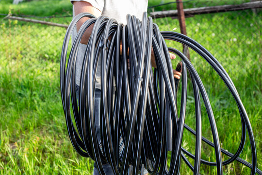 Carrying out drip irrigation in the garden. A man unrolls a HDPE main pipe for laying it in the ground