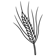 Minimalist Barley Grain Illustration
