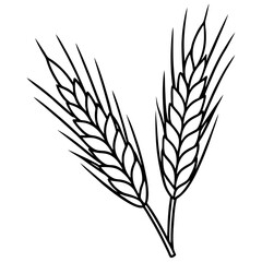 Minimalist Barley Grain Illustration