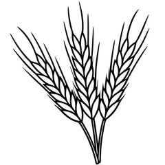Minimalist Barley Grain Illustration