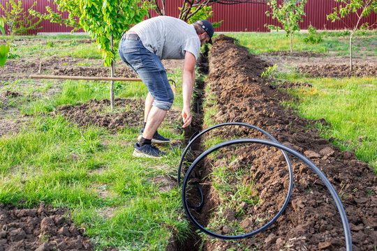 Carrying out drip irrigation in the garden. A man unrolls a HDPE main pipe for laying it in the ground