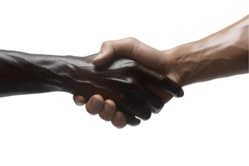 Handshake Between Two People of Different Skin Tones Symbolizing Unity

