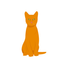 Cat, Veterinary Flat Vector Illustration