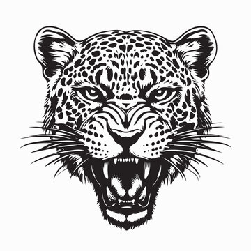 Leopards Head Vector. Black and white Leopard Head vector illustration.