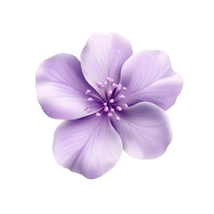 Obraz premium 3D Purple Flower With Soft Petals featuring a simple and delicate design, highlighted by smooth purple petals and a minimalist style. Isolated on transparent background, png.